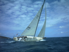 sailing499a.jpg
